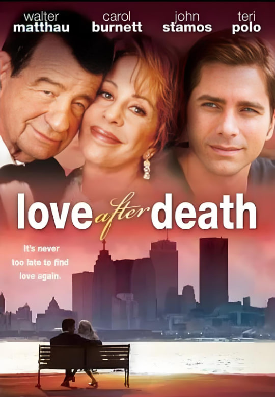 婚姻傻瓜(全集)