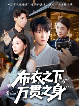 布衣之下万贯之身(全集)