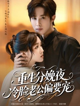 重生分娩夜冷脸老公偏要宠(全集)