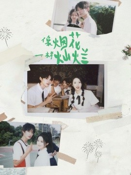 像烟花一样灿烂(全集)