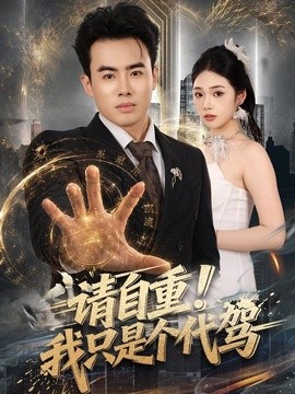 请自重！我只是个代驾(全集)