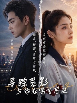 寻踪觅影：与你在谎言尽头(全集)