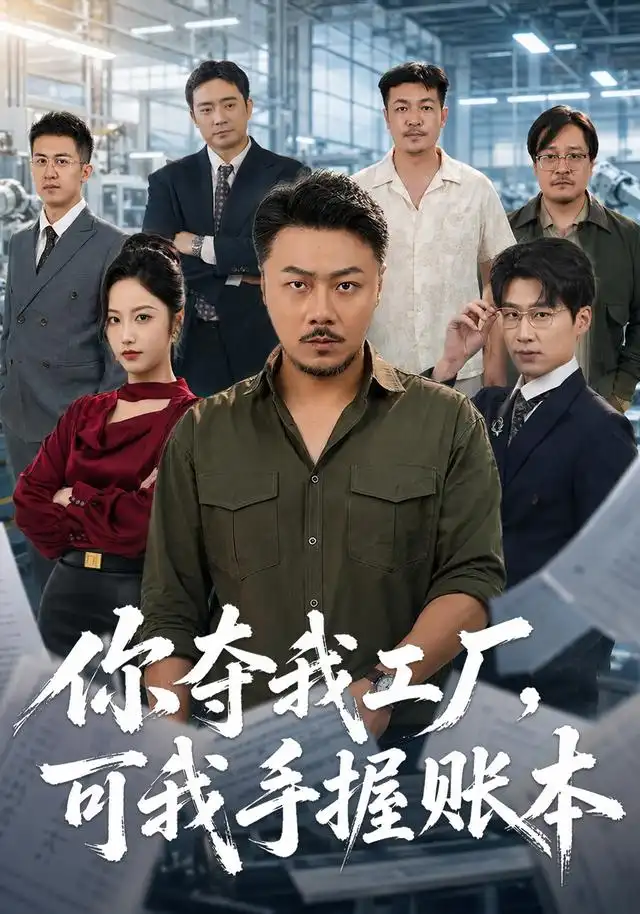 你夺我工厂，可我手握账本(全集)