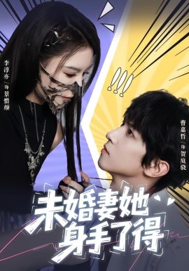 未婚妻她身手了得(全集)