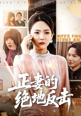正妻的绝地反击(全集)
